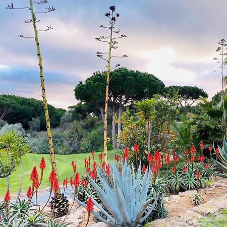 Algarve Luxury Experience - Situated Within The Pinecliffs Resort البوفيرا المظهر الخارجي الصورة