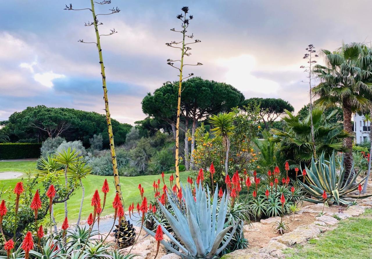 Algarve Luxury Experience - Situated Within The Pinecliffs Resort البوفيرا المظهر الخارجي الصورة